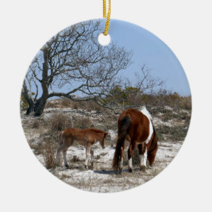 Mother and Baby Horse at Assateague National Park Ceramic Ornament