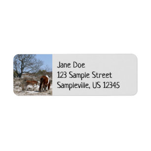 Mother and Baby Horse at Assateague National Park Return Address Label