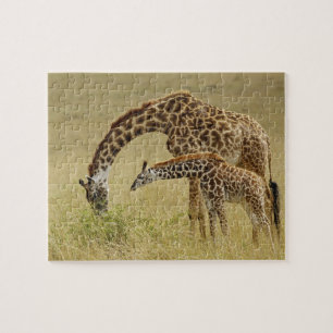Mother and baby Masai Giraffe, Giraffa Jigsaw Puzzle
