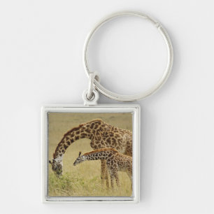 Mother and baby Masai Giraffe, Giraffa Key Ring