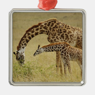 Mother and baby Masai Giraffe, Giraffa Metal Tree Decoration