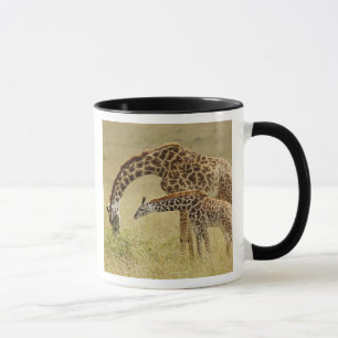 Mother and baby Masai Giraffe, Giraffa Mug