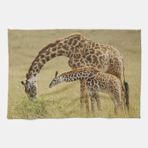 Mother and baby Masai Giraffe, Giraffa Tea Towel