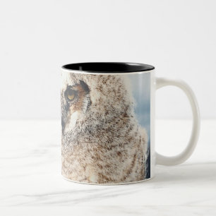 Mother and Baby Owl Two-Tone Coffee Mug