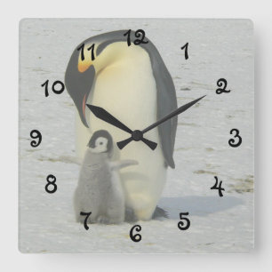 Mother and Baby Penguin Square Wall Clock