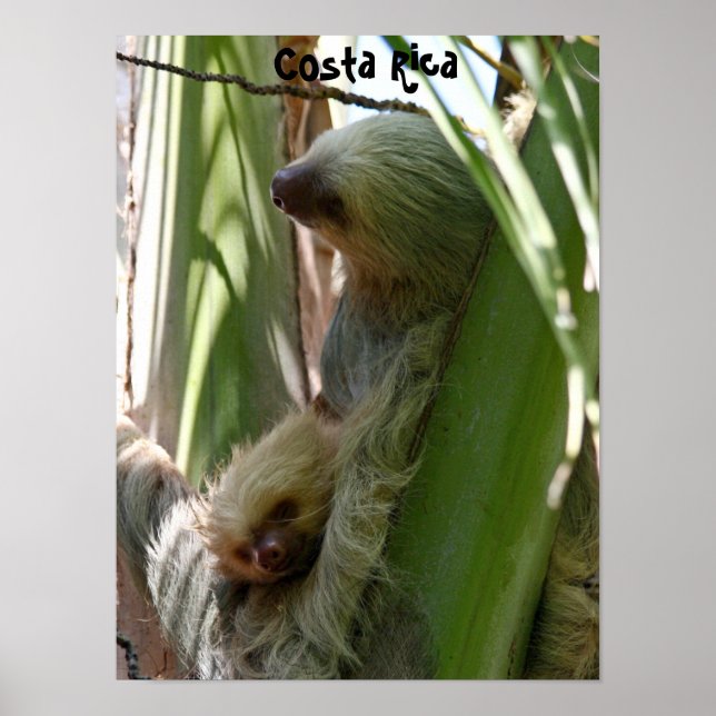 Mother and Baby Poster (Front)