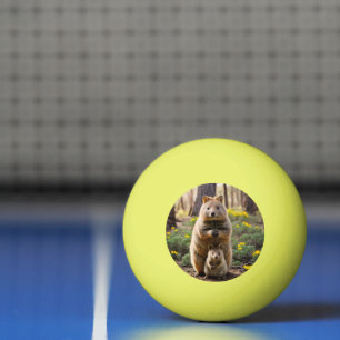 Mother And Baby Quokka, Ping Pong Ball