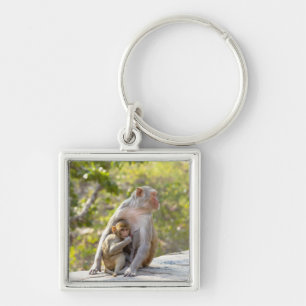 Mother and baby Rhesus Macaque monkeys on wall Key Ring