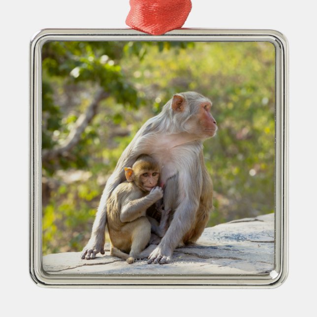 Mother and baby Rhesus Macaque monkeys on wall Metal Ornament (Front)