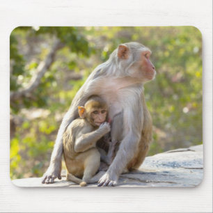 Mother and baby Rhesus Macaque monkeys on wall Mouse Pad