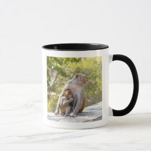 Mother and baby Rhesus Macaque monkeys on wall Mug