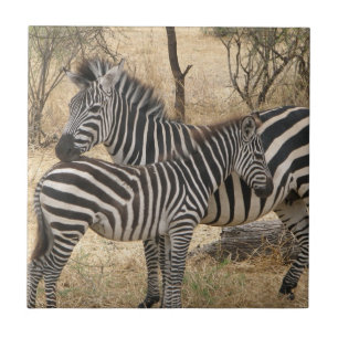 Mother and Baby Zebra  Tile