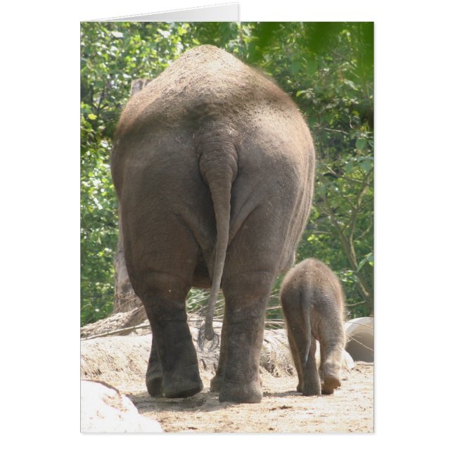 Mother and Child (Front)