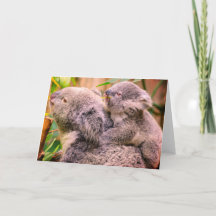 Mother and Child Koala Bear Folded Greeting Card