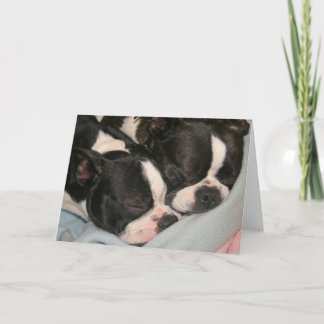 Mother and child puppy Note Card Boston Terrier