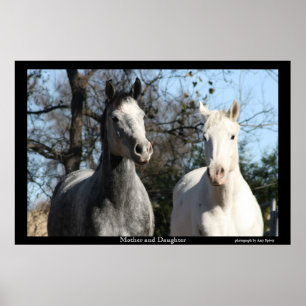 Mother and Daughter Poster