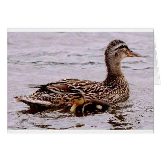 mother and duckling card