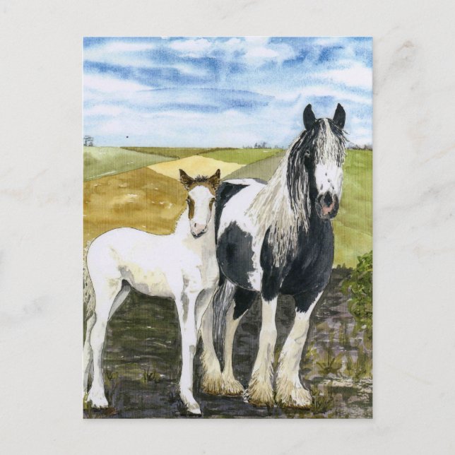 Mother and Foal Postcard (Front)