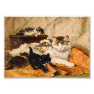 Mother and Her Kittens Photo Print