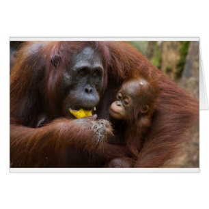 Mother and son