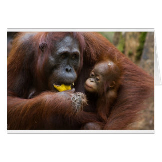 Mother and son