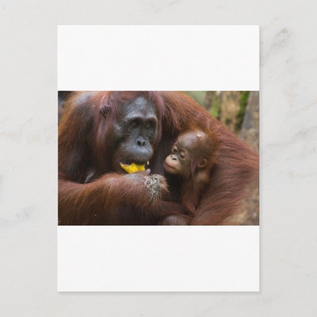 Mother and son postcard (Front)