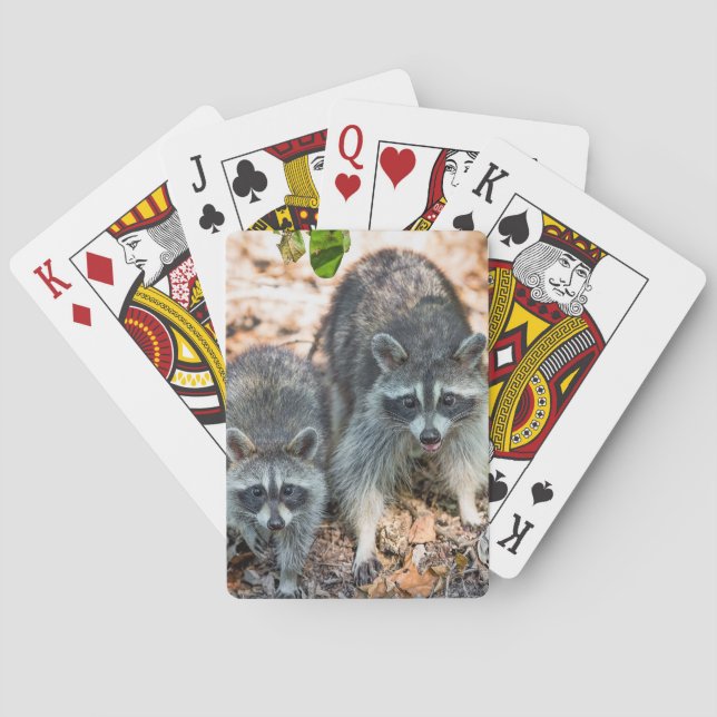 Mother and young racoon in fall setting playing cards (Back)