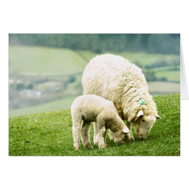 Mother & Baby (Front Horizontal)