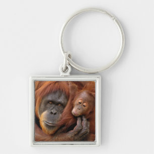 Mother & Baby Orangutan Key Ring