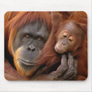 Mother & Baby Orangutan Mouse Pad