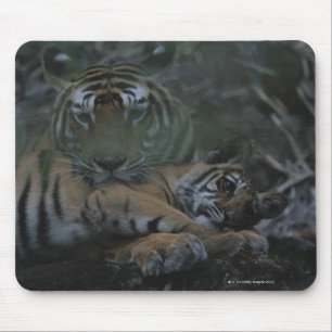 Mother Bengal Tiger with Cub Mouse Pad