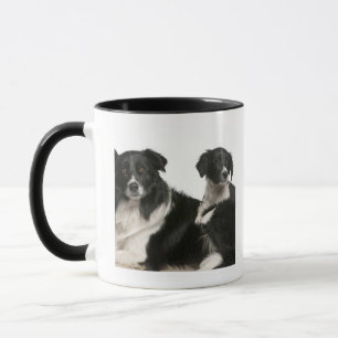 Mother border collie and puppy mug