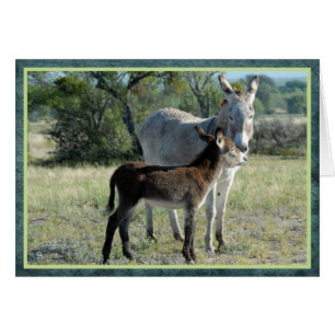Mother burro and baby
