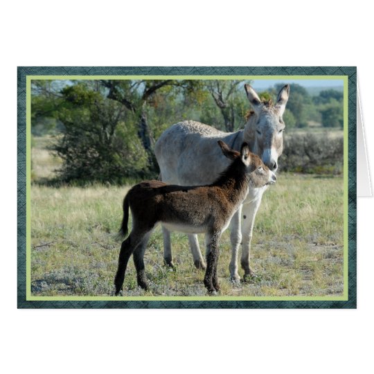 Mother burro and baby card