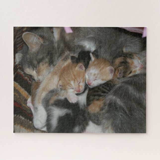 Mother Cat and Baby Kittens Jigsaw Puzzle (Horizontal)