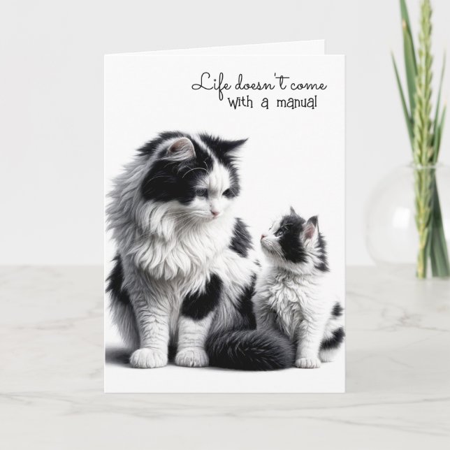 Mother Cat and Matching Kitten  Card (Front)