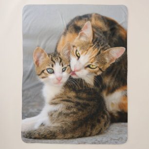 Mother Cat Loves Cute Baby Kitten Animal Pet Photo Sherpa Blanket