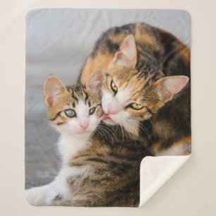 Mother Cat Loves Cute Baby Kitten Animal Pet Photo Sherpa Blanket