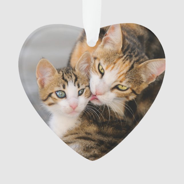 Mother Cat Loves Cute Kitten acrylic ornament (Front)