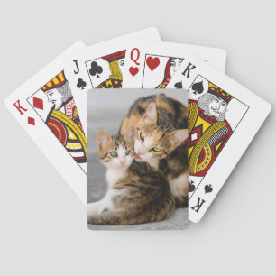 Mother Cat Loves Cute Kitten Animal Photo - Playing Cards