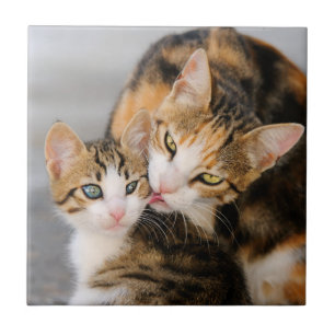 Mother Cat Loves Cute Kitten, Ceramic Tile