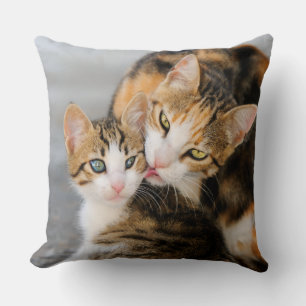 Mother cat loves cute kitten cushion