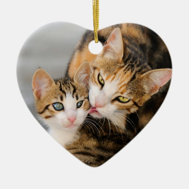 Mother Cat Loves Cute Kitten hang Decor Ceramic Tree Decoration (Front)