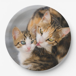 Mother Cat Loves Cute Kitten, Happy Party Paper Plate