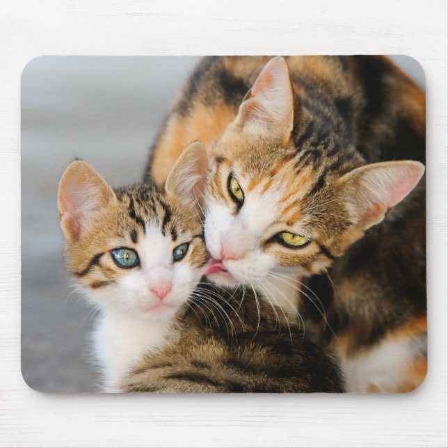 Mother cat loves cute kitten mouse pad (Front)