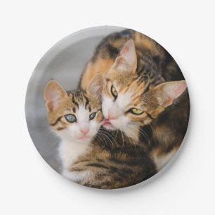 Mother Cat Loves Cute Kitten, Party Paper Plate