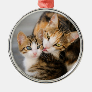 Mother Cat Loves Cute Kitten Photo - Metal Tree Decoration