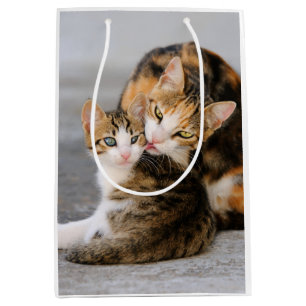 Mother Cat Loves Cute Kitten Photo - wrap Medium Gift Bag