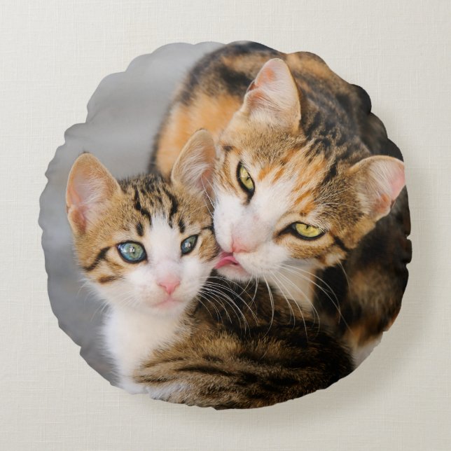 Mother Cat Loves Cute Kitten smooth Round Cushion (Front)