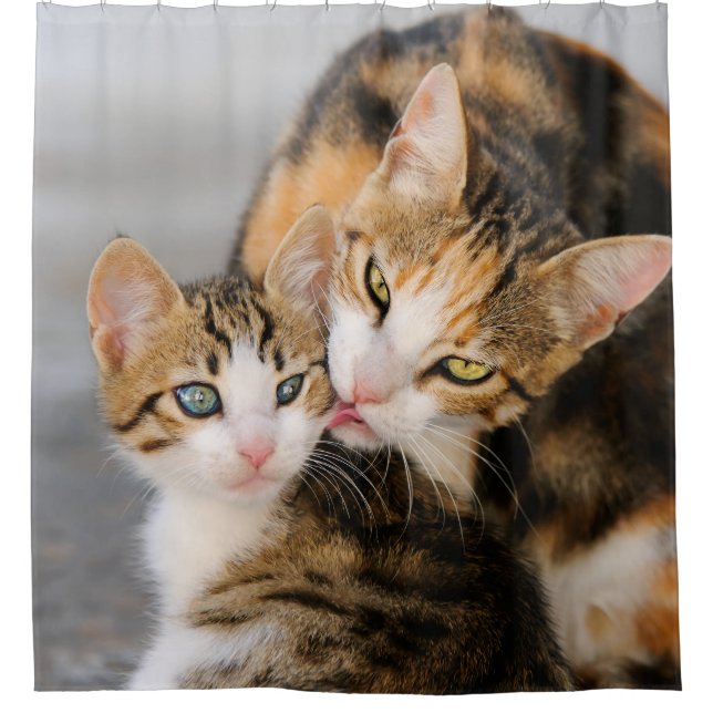 Mother cat loves cute kitten, Tub Shower Curtain (Front)
